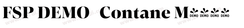 FSP DEMO   Contane M字体转换
